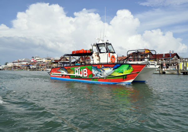 12 Hour Extreme Fishing Trip Hubbard S Marina John S Pass Madeira