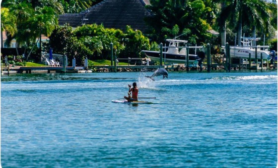 Paddle board photo for kayak and paddleboard page Paddle board photo for kayak and paddleboard page