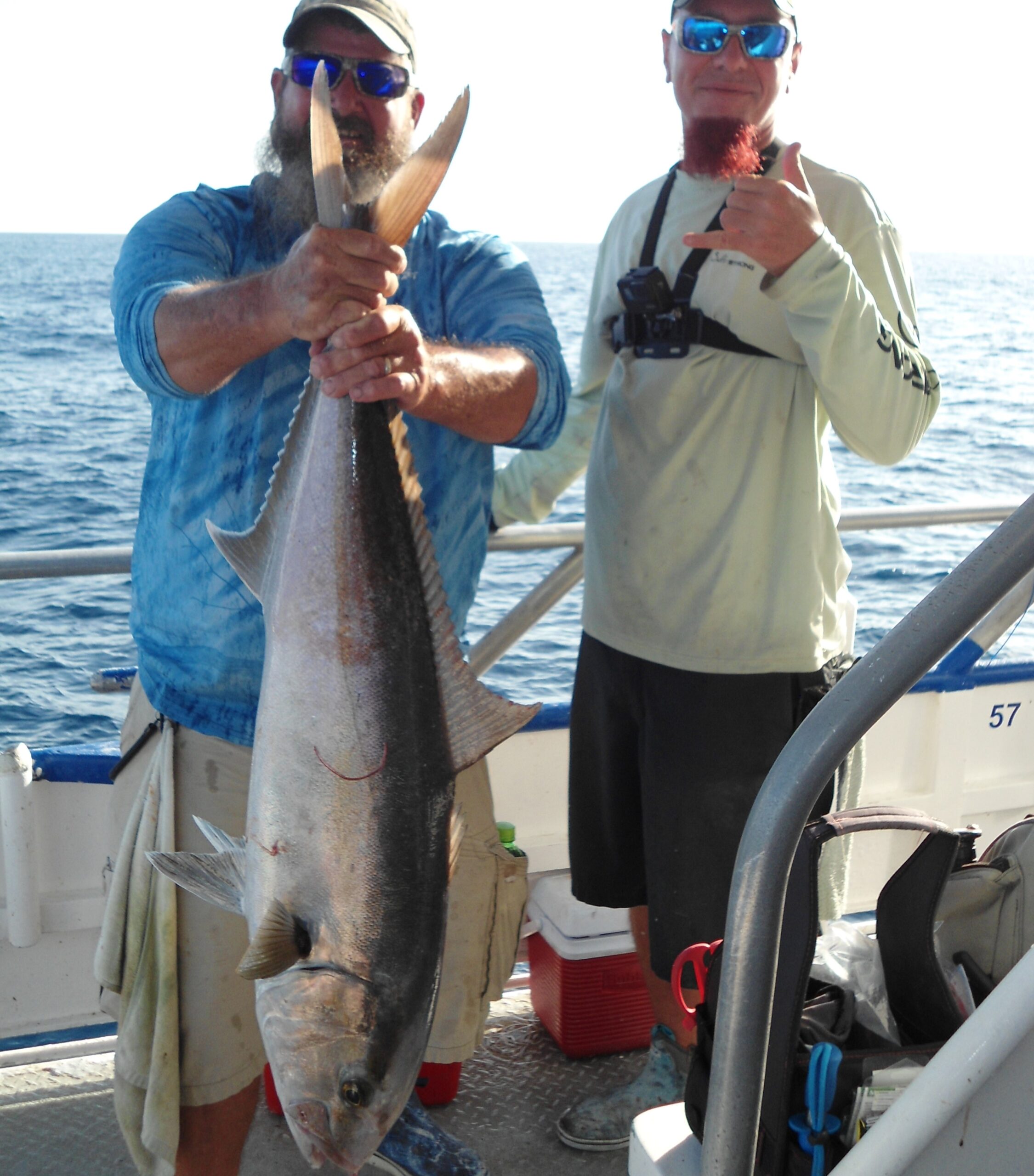 Hubbard's Marina Fishing Report 5-22-20, Hubbard's Marina, Deep Sea  Fishing, Dolphin Watching Tours