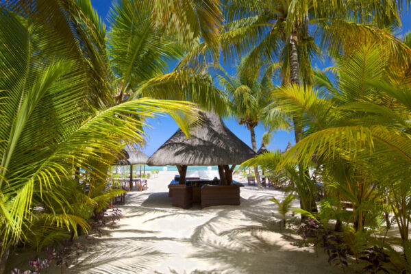 Bar on the tropical beach in Mauritius Island