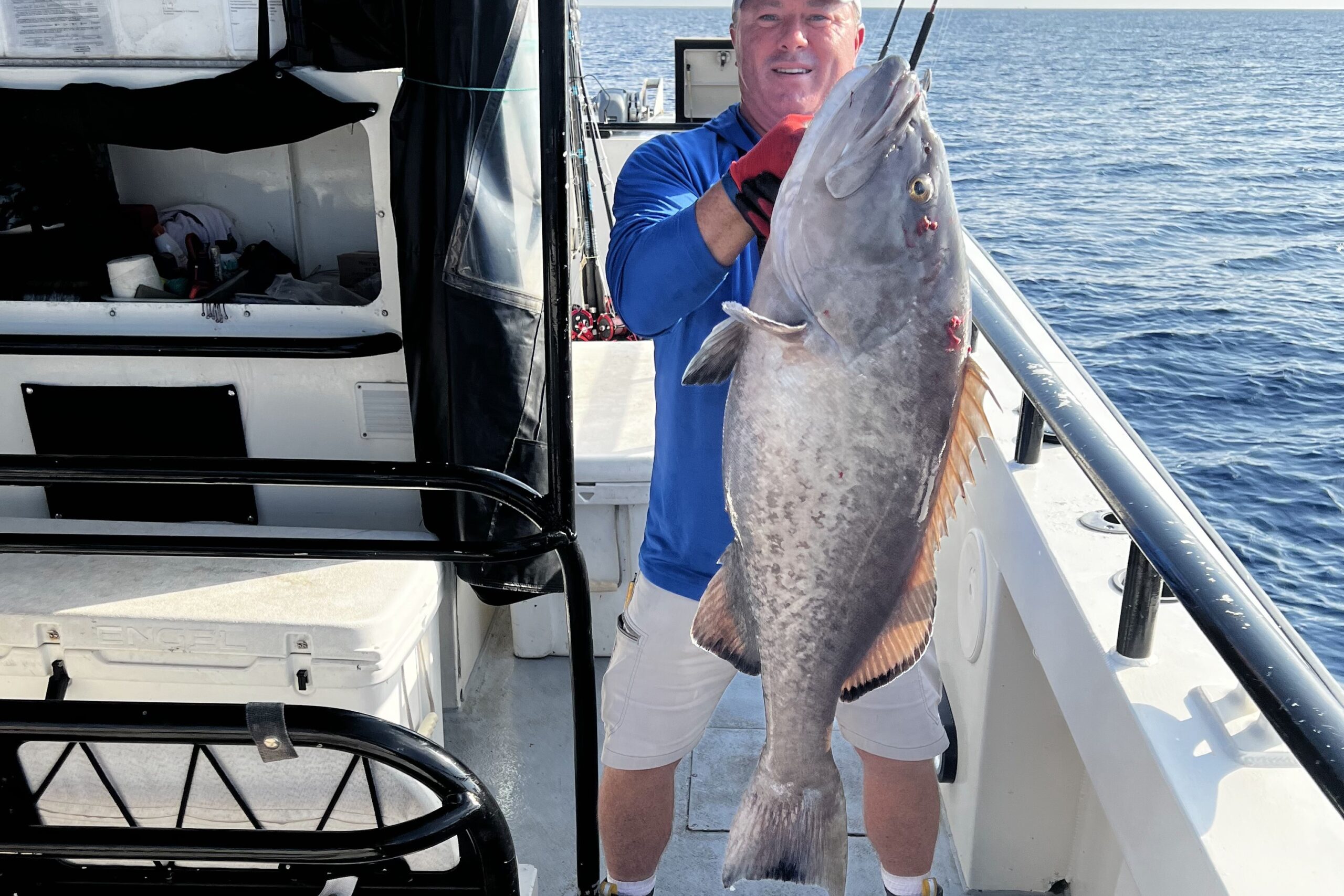 Hubbard's Marina Fishing Report 7-12-19, Hubbard's Marina, Deep Sea  Fishing, Dolphin Watching Tours