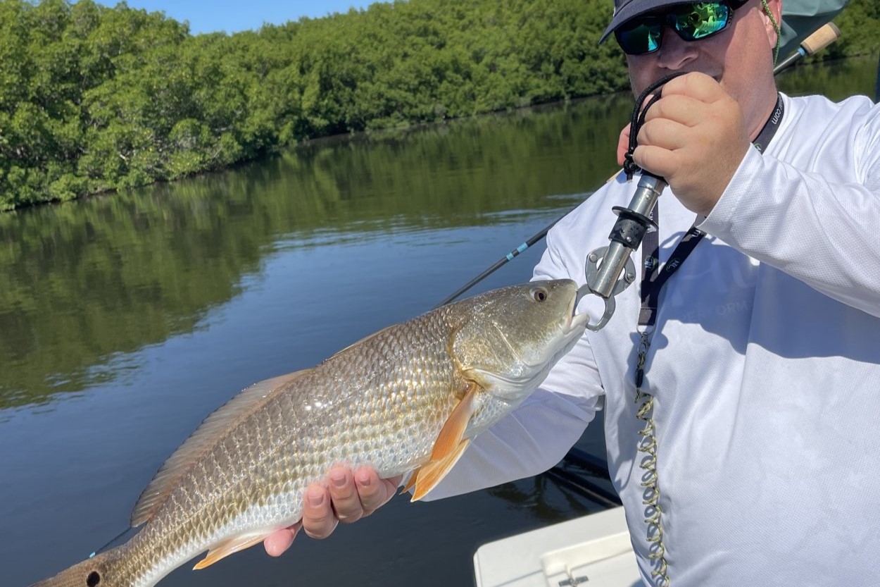 INSHORE - redfish (21)