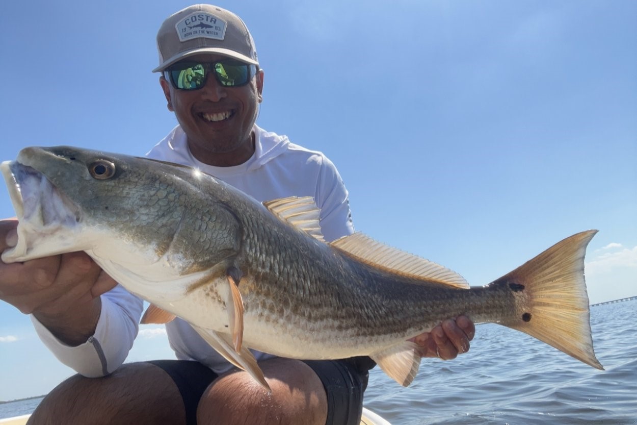 INSHORE - redfish (3)