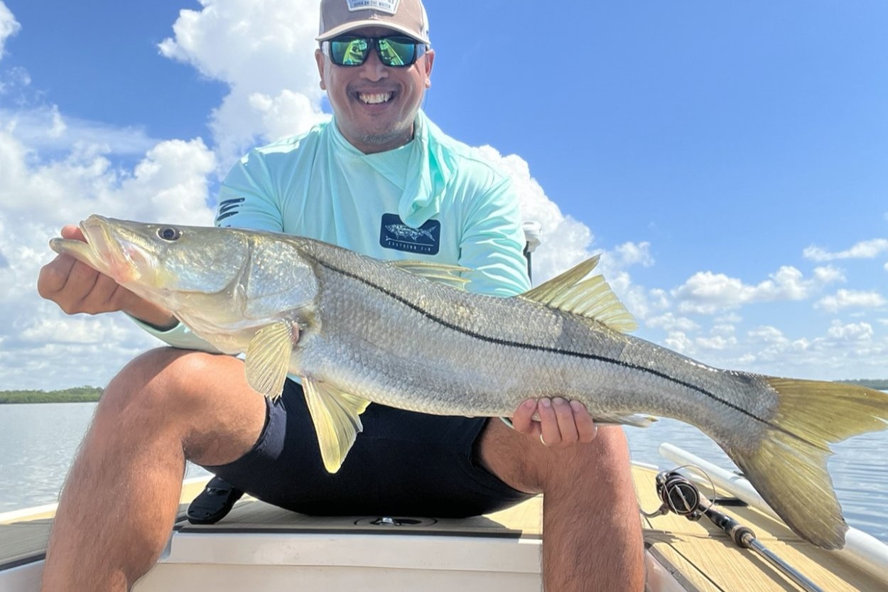 INSHORE - snook (1)