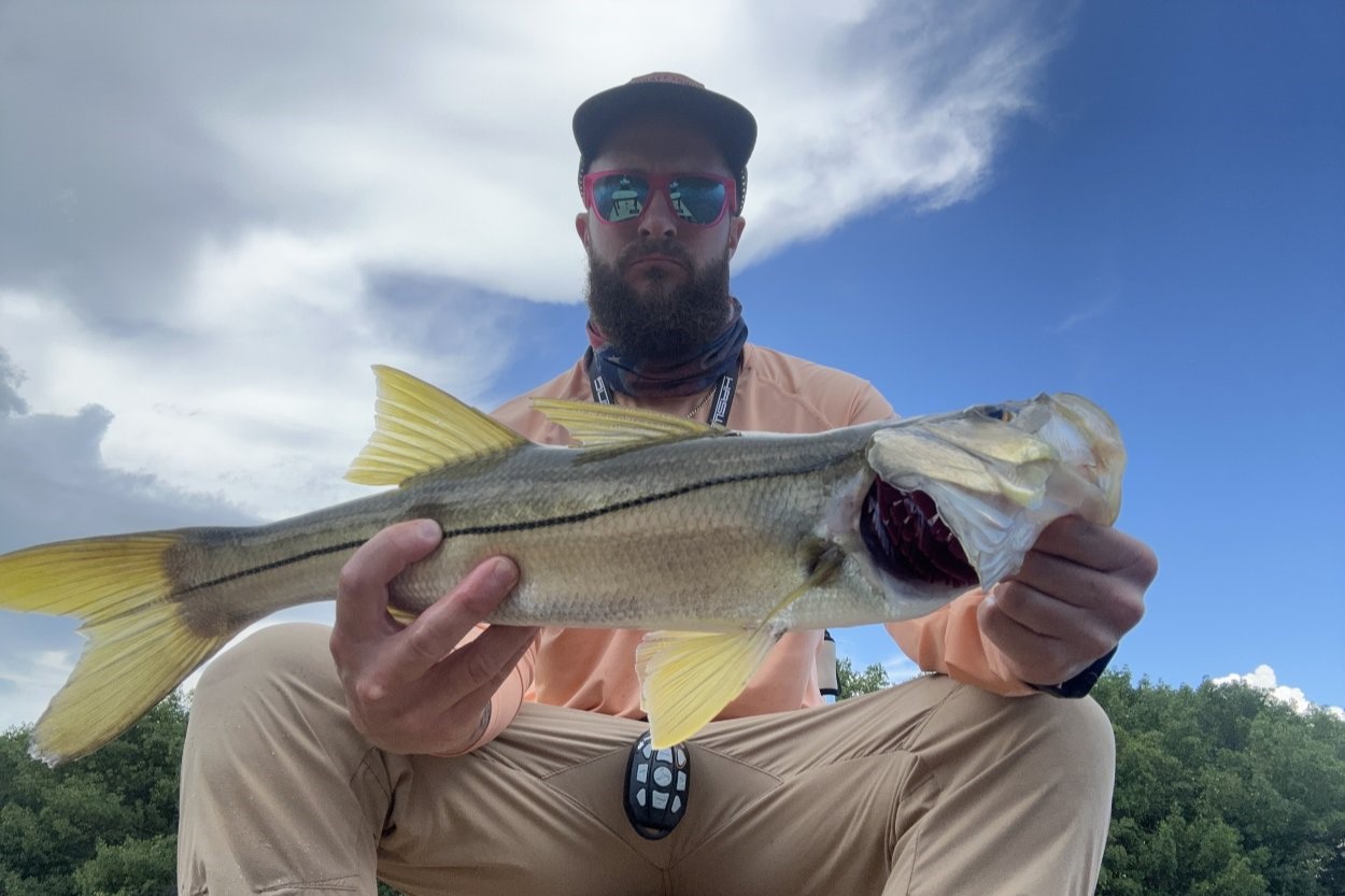 INSHORE - snook (3)