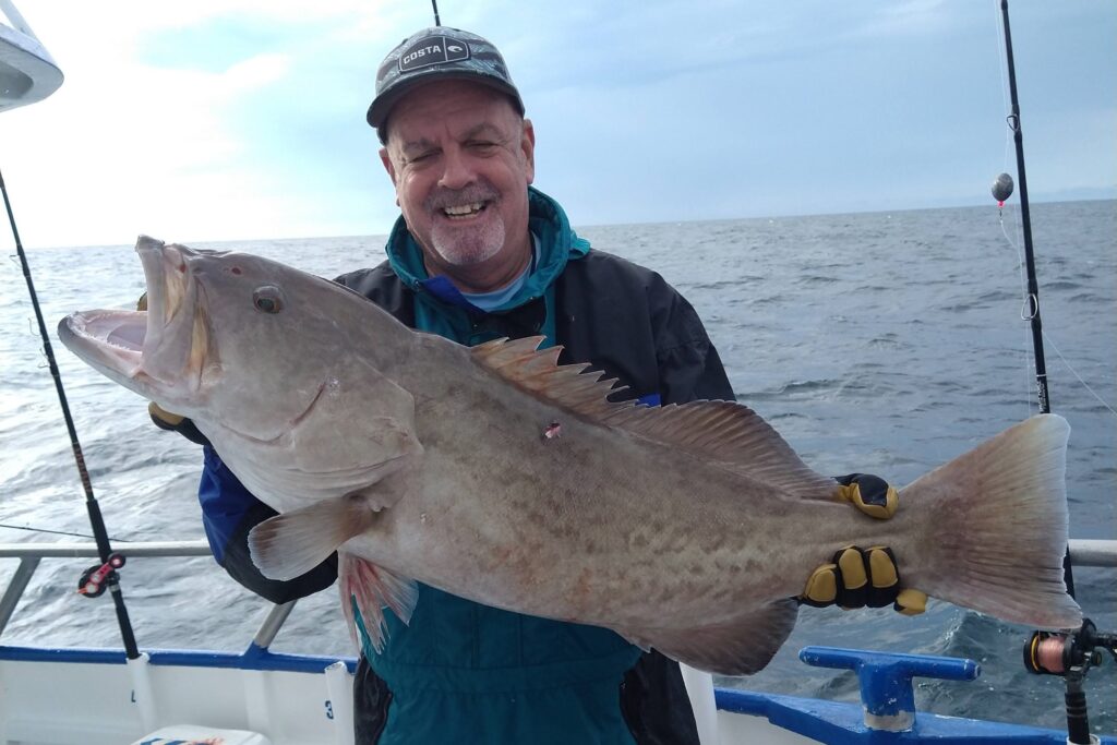 NEAR SHORE & OFFSHORE - gag grouper (10)