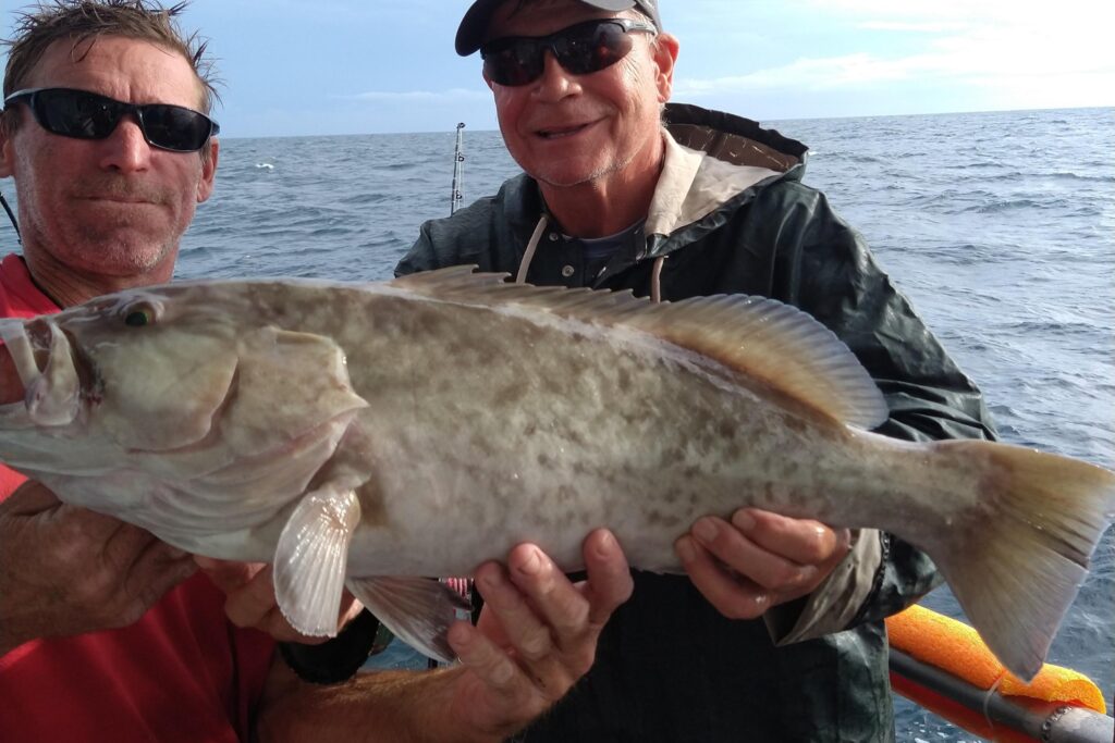 NEAR SHORE & OFFSHORE - gag grouper (11)