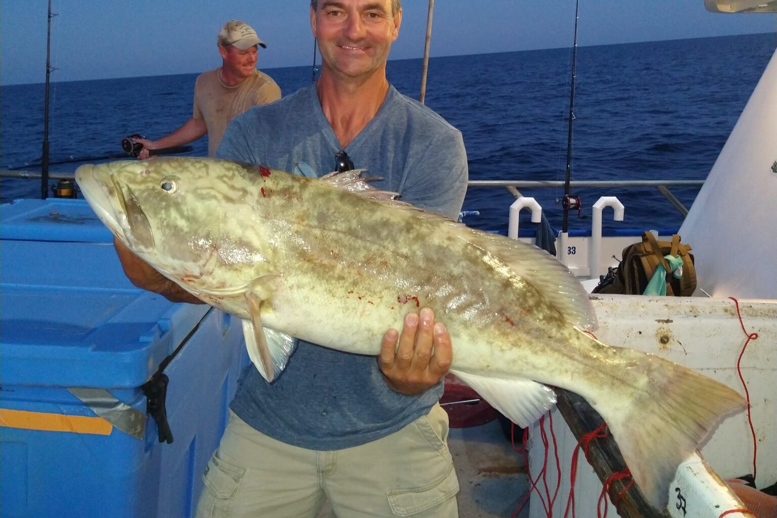 NEAR SHORE & OFFSHORE - gag grouper (15)