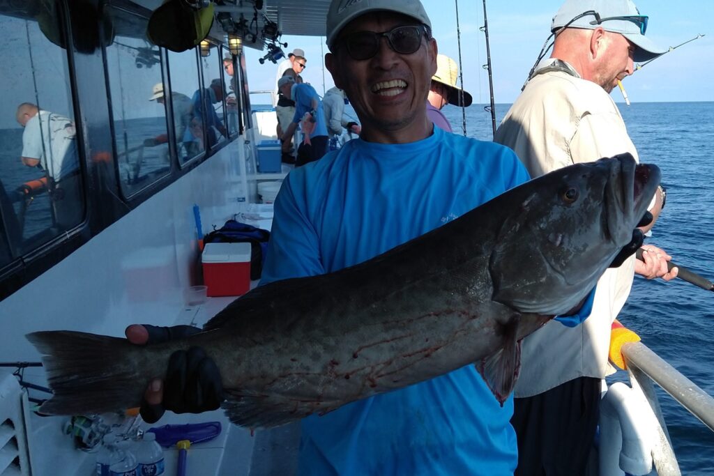 NEAR SHORE & OFFSHORE - gag grouper (2)