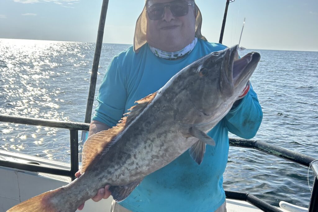 NEAR SHORE & OFFSHORE - gag grouper (6)