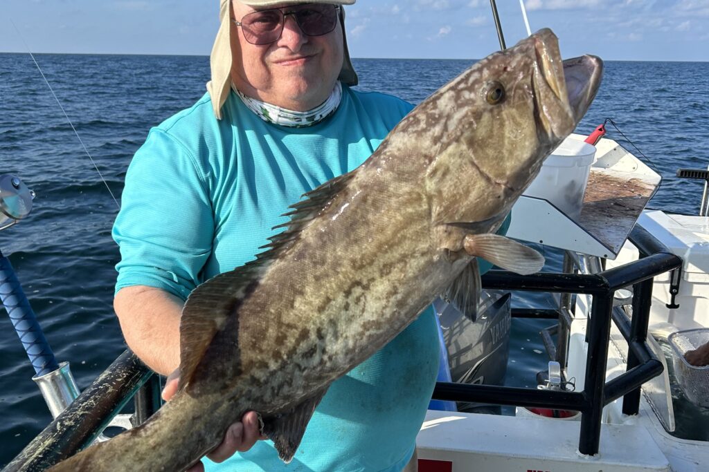 NEAR SHORE & OFFSHORE - gag grouper (7)