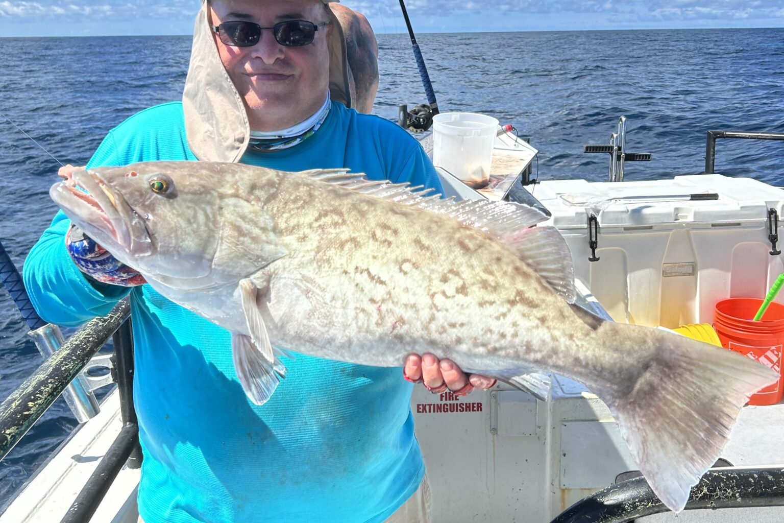 NEAR SHORE & OFFSHORE - gag grouper (9)