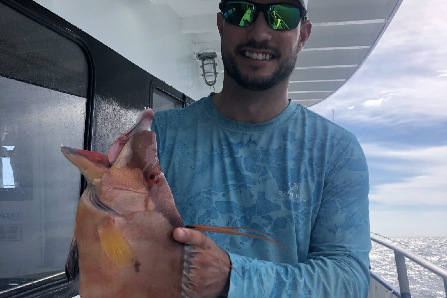 NEAR SHORE - hogfish (1)