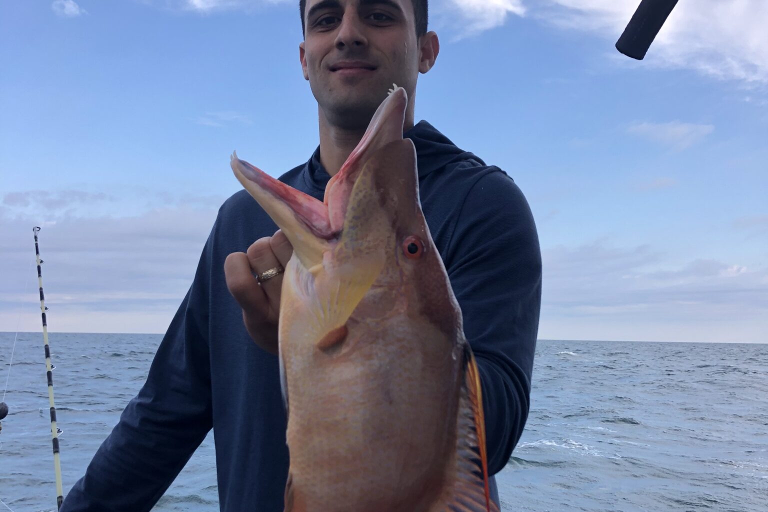 NEAR SHORE - hogfish (11)