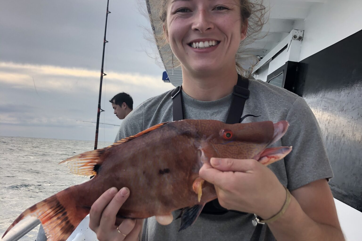 NEAR SHORE - hogfish (12)