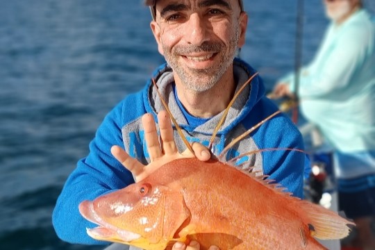 NEAR SHORE - hogfish (2)