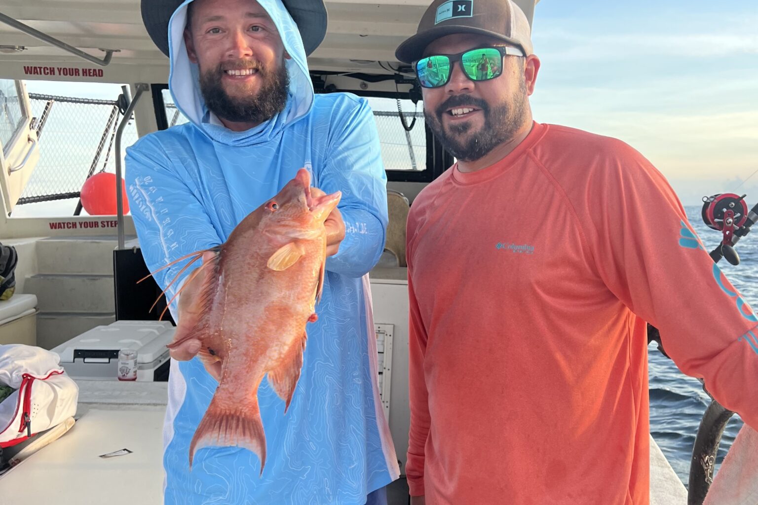 NEAR SHORE - hogfish (8)