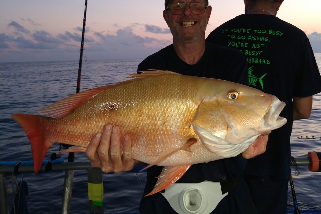 OFFSHORE - mutton snapper (2)