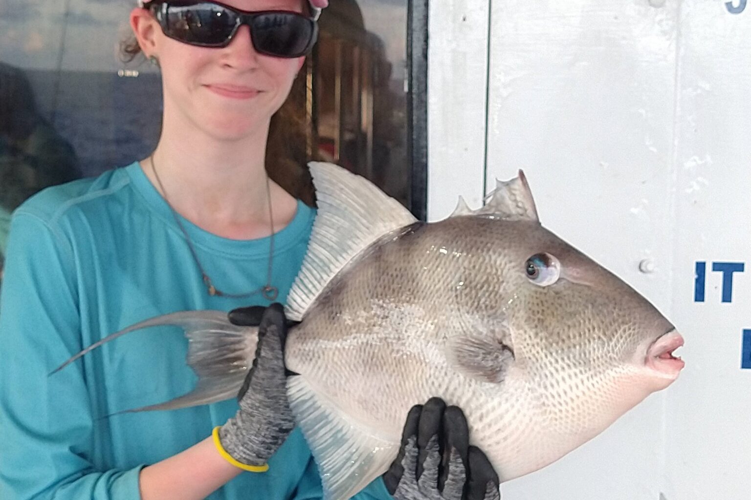 OFFSHORE - triggerfish (1)