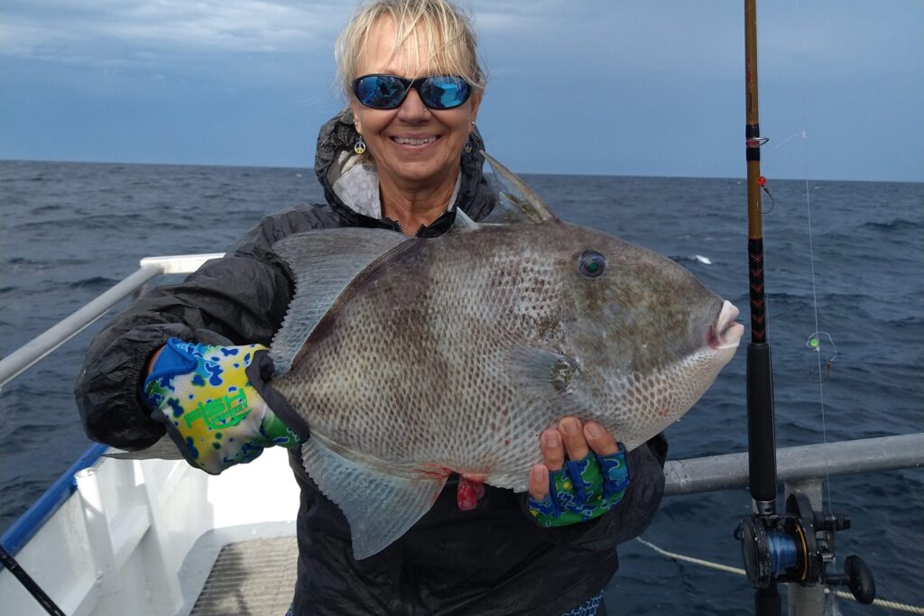 OFFSHORE - triggerfish (2)