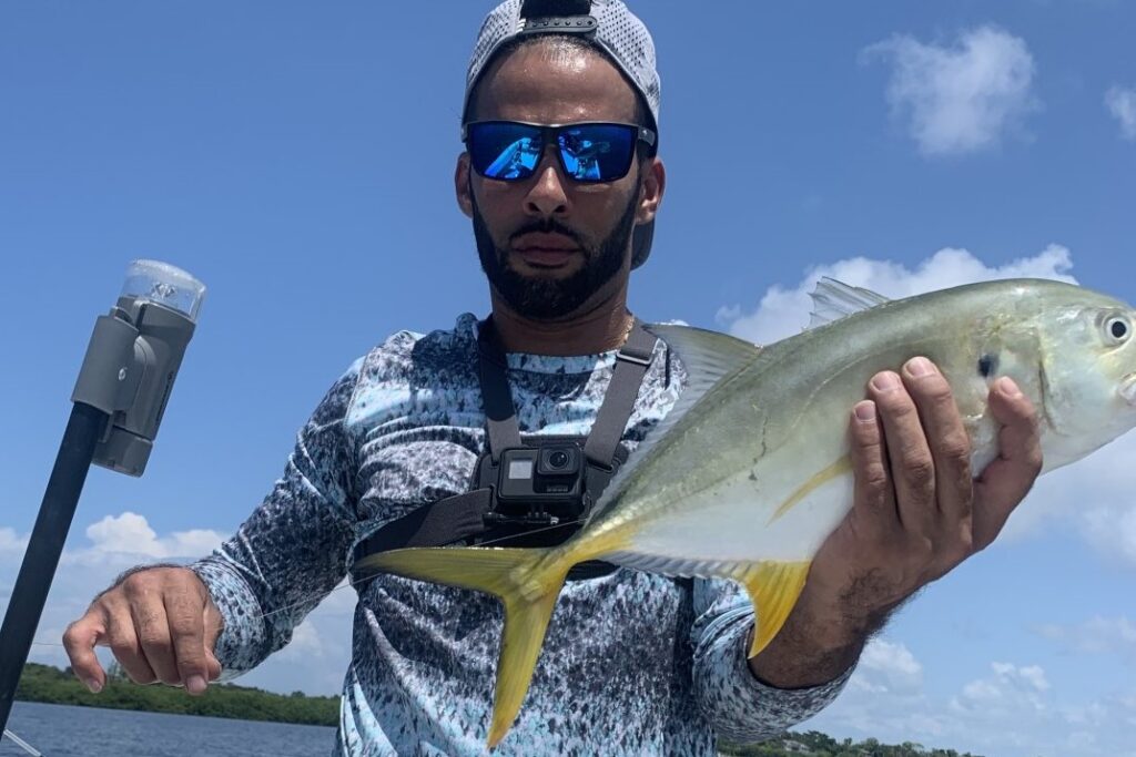 INSHORE - jack crevalle