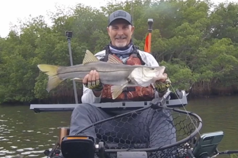 INSHORE - snook