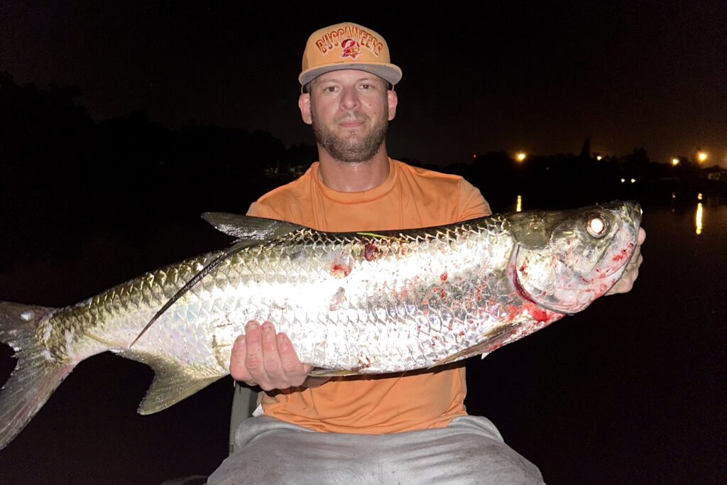 INSHORE - tarpon