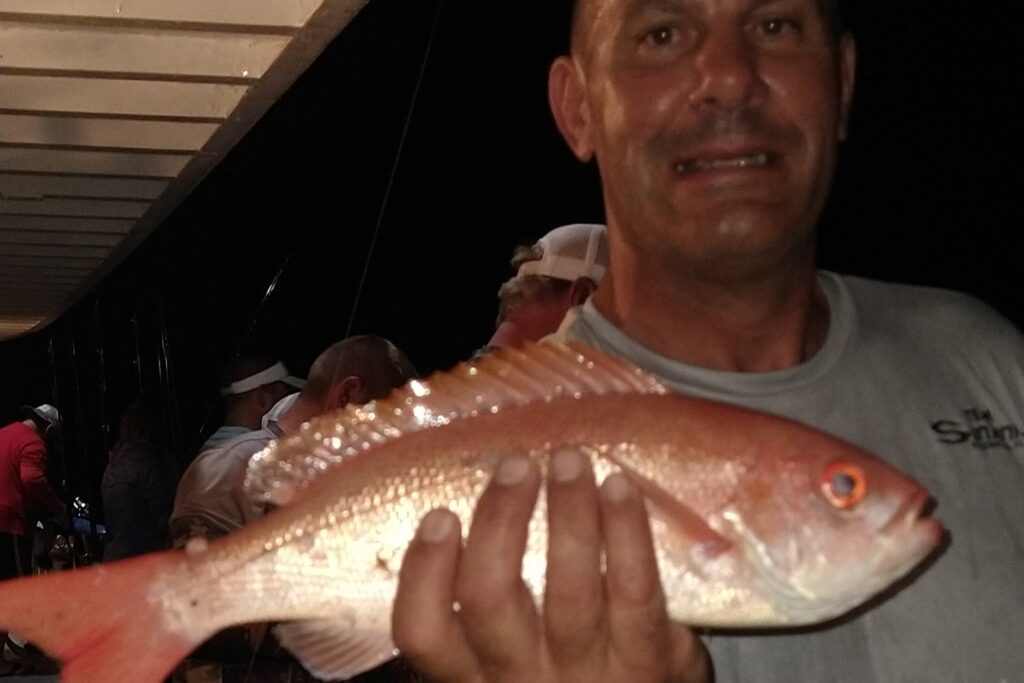 NEAR SHORE & OFFSHORE - vermillion snapper (1)