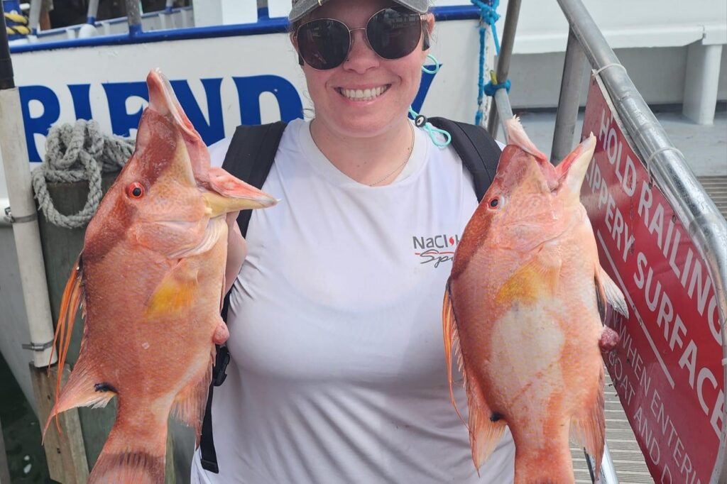 NEAR SHORE - hogfish (4)