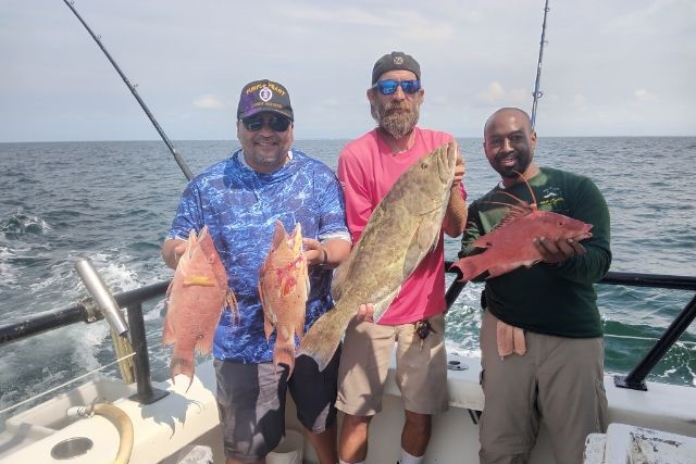 NEAR SHORE - hogfish & gag grouper