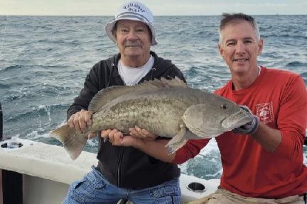 NEAR SHROE & OFFSHORE - gag grouper (1)