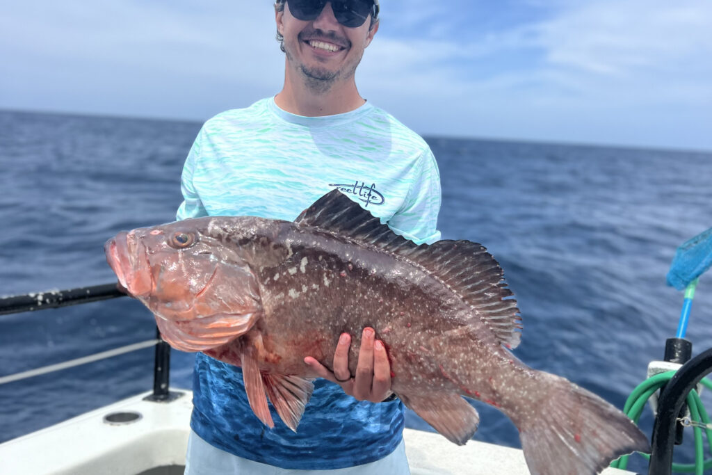 NEAR SHORE & OFFSHORE - red grouper (4)