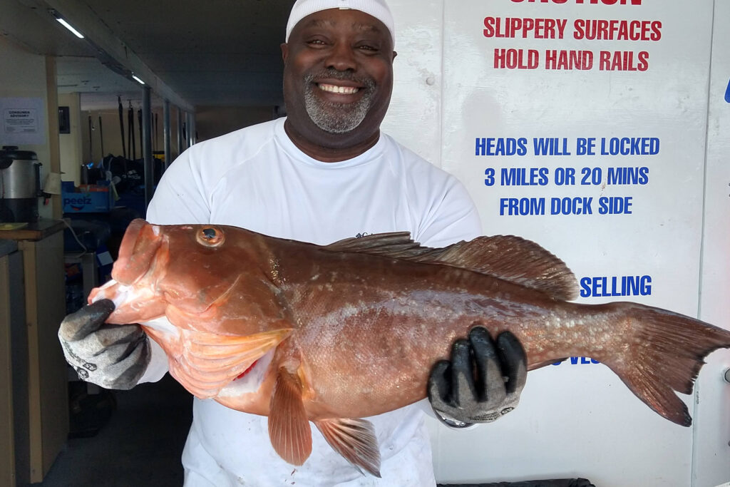 OFFSHORE - red grouper