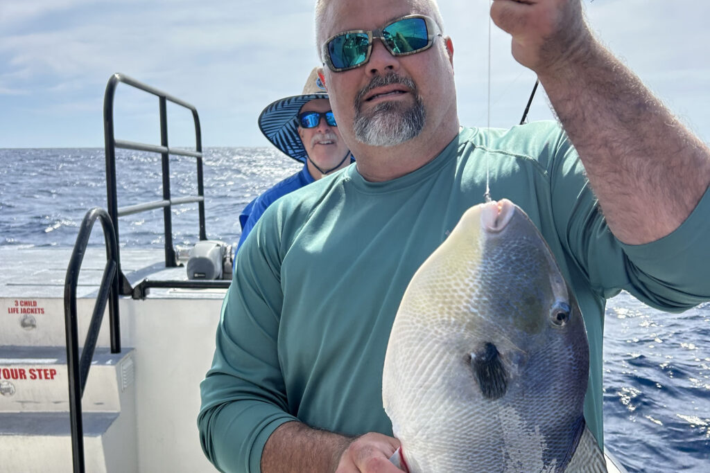 OFFSHORE-triggerfish