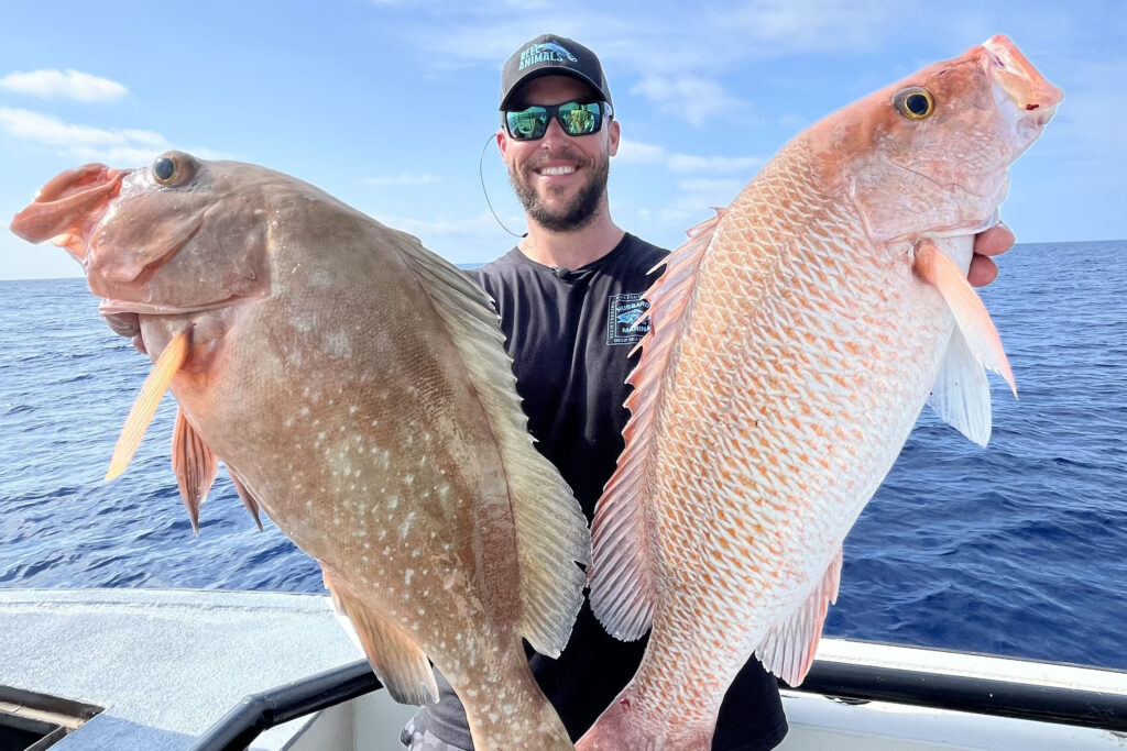 DYLAN=red-grouper=red-snapper