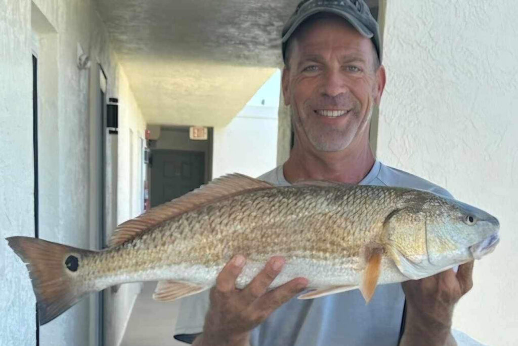 INSHORE-redfish