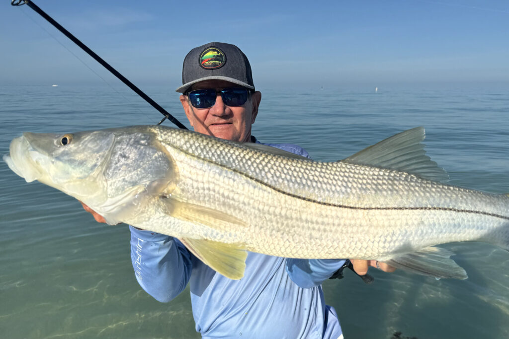 INSHORE-snook