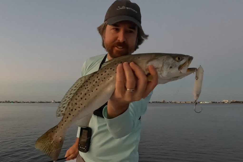 INSHORE-trout