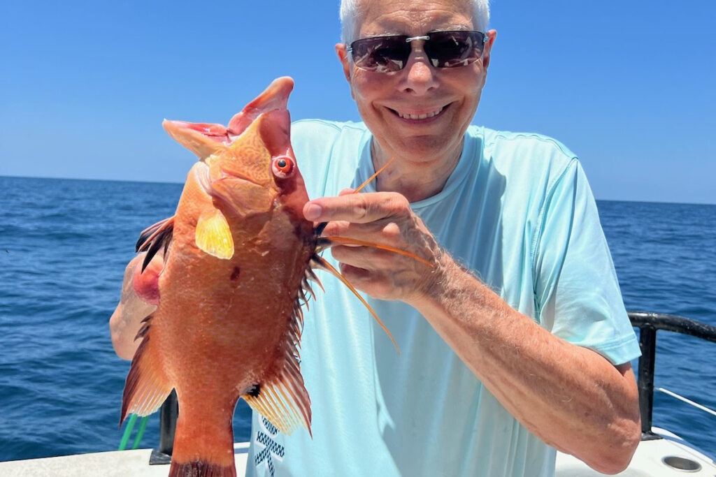 NEARSHORE-hogfish2