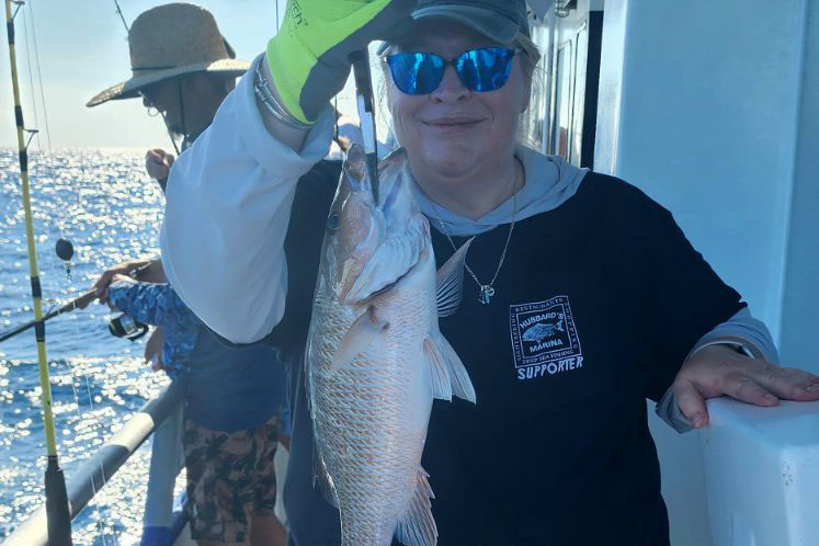 OFFSHORE-mangrove-snapper