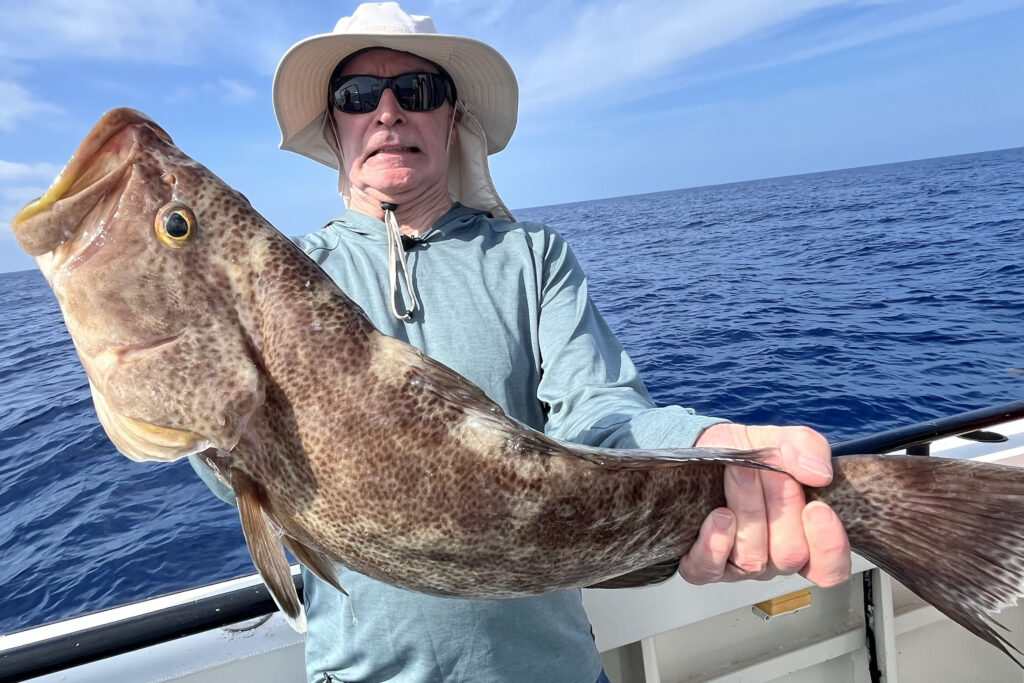 OFFSHORE-scamp-grouper-best