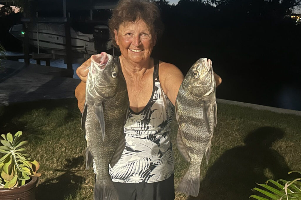 INSHORE- blackdrum