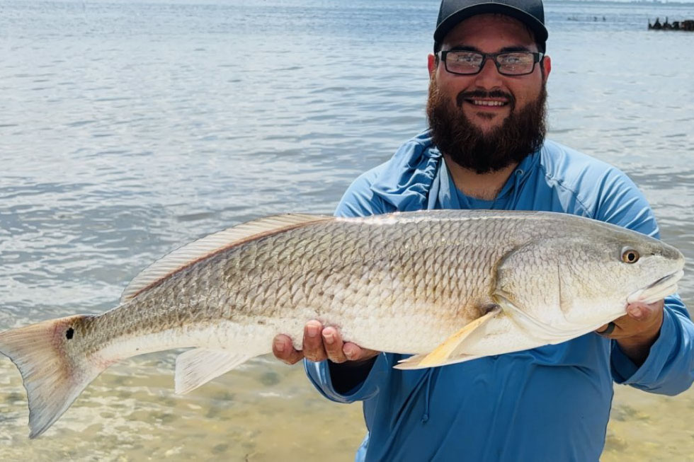 INSHORE-redfish