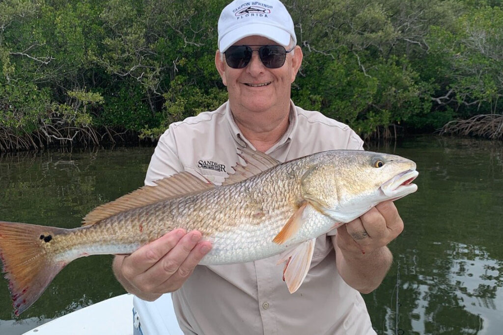 INSHORE-redfish3