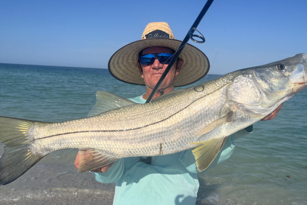 INSHORE-snook (8)