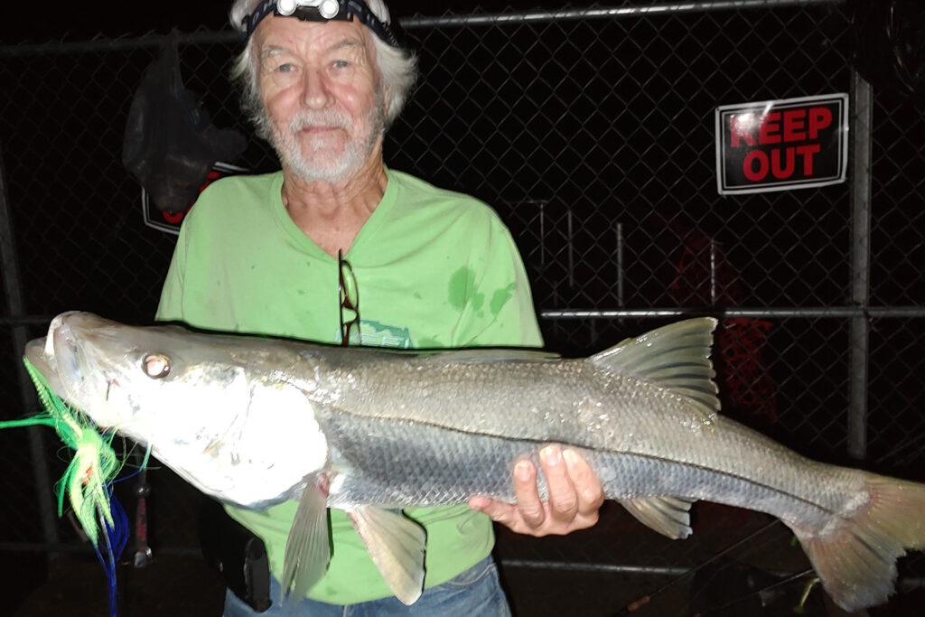 INSHORE-snook-huge