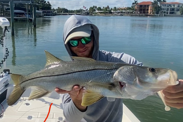 INSHORE-snook3