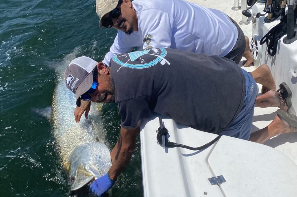 INSHORE-tarpon