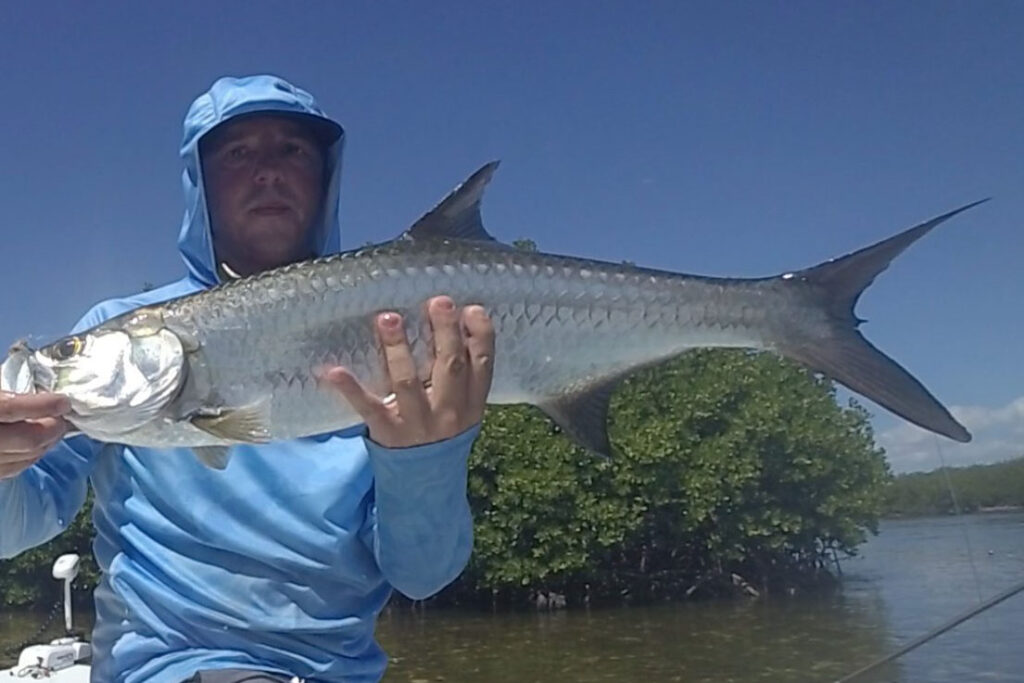 INSHORE-tarpon