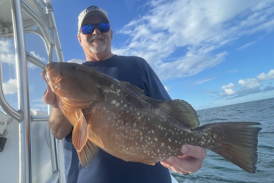 NEAR SHORE - red grouper